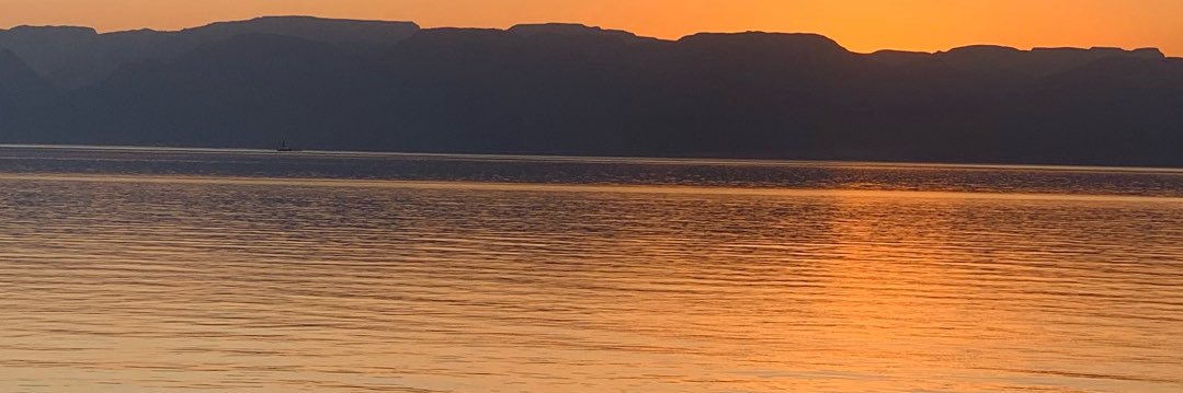 جوري محمد's banner