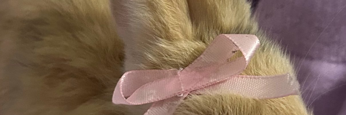 Edwin🐇's banner