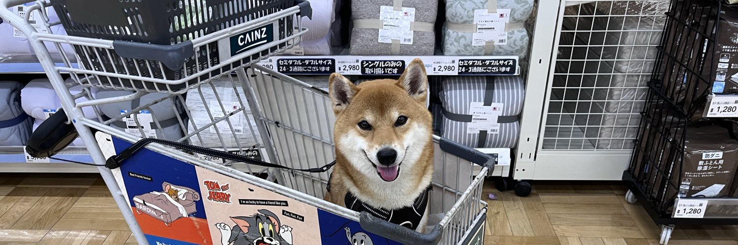 柴犬SHUNくん's banner