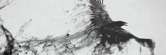 Shadow's banner