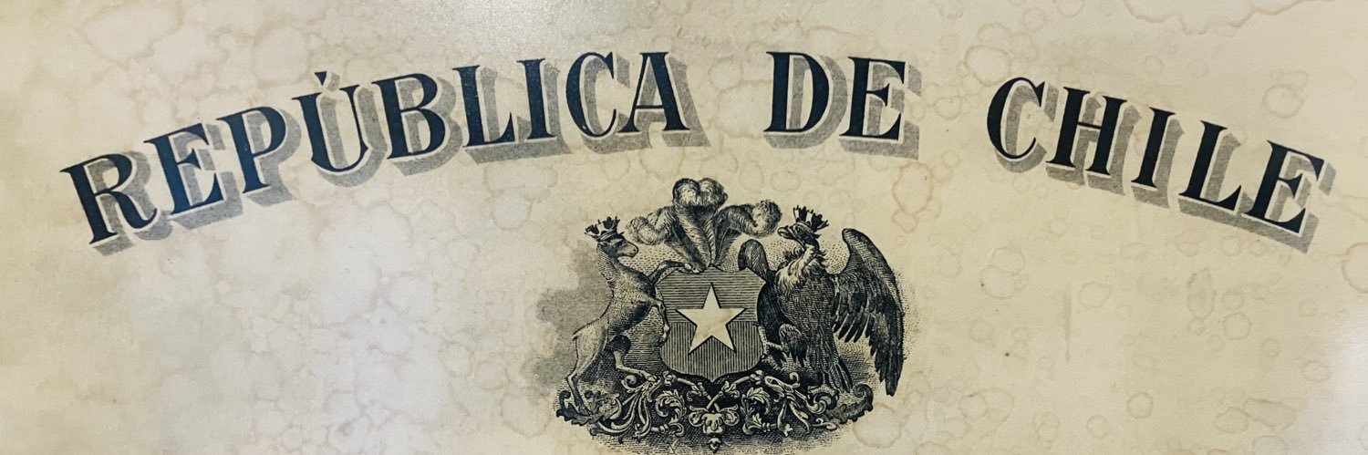 Gabriel Alemparte's banner