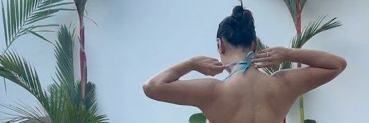 Michele's banner