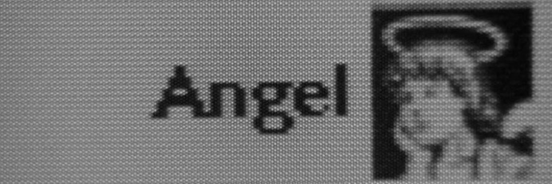 bruna's banner