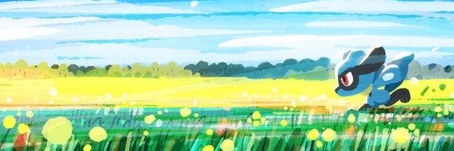 Ava's banner