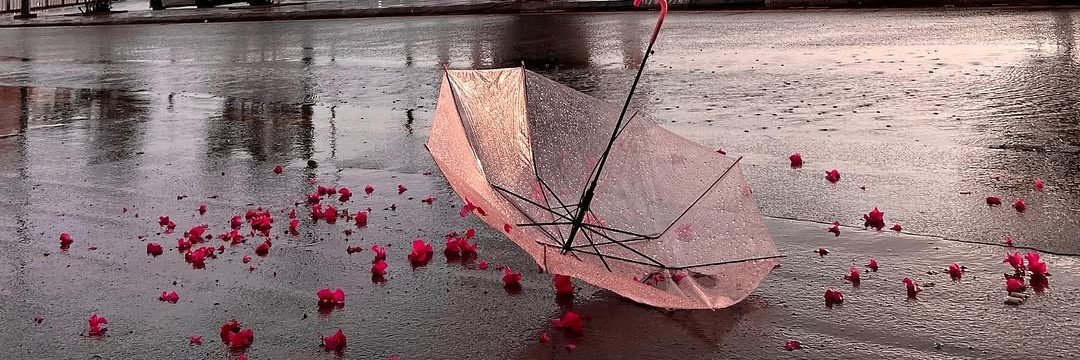 Nature's Bloom&Doom's banner