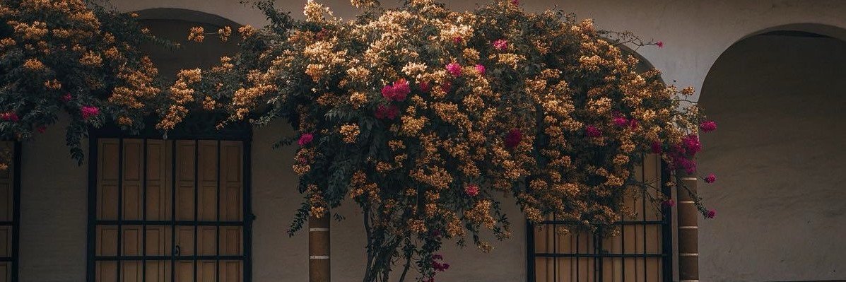 𝐟𝐥𝐨𝐫𝐞𝐧𝐜𝐞.'s banner
