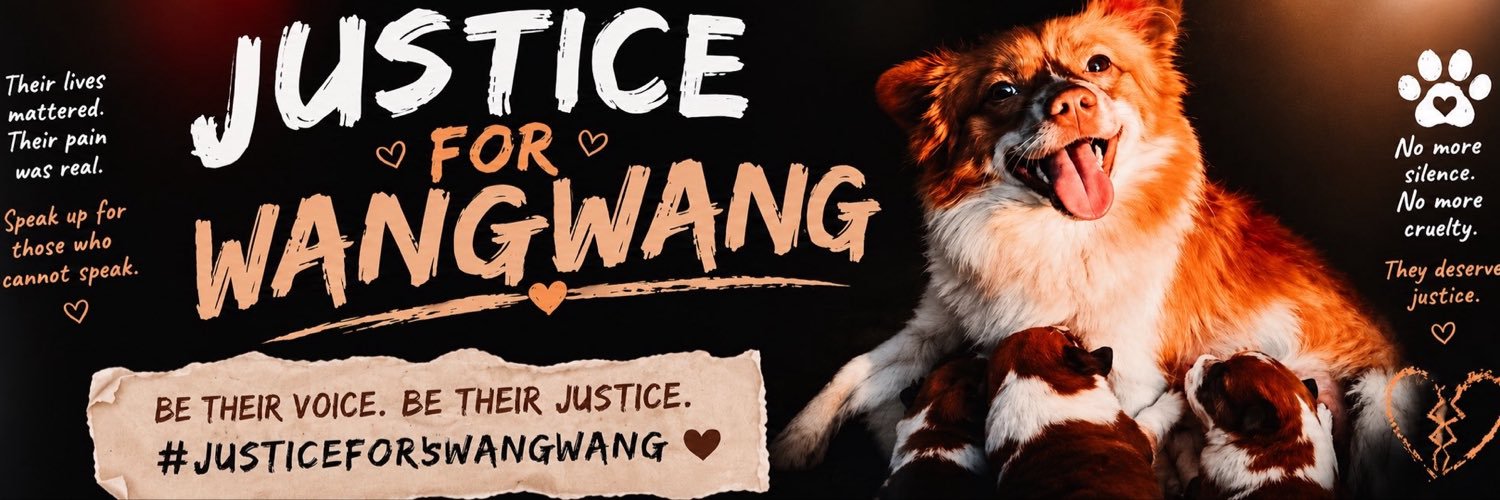 JusticeForWangWang's banner