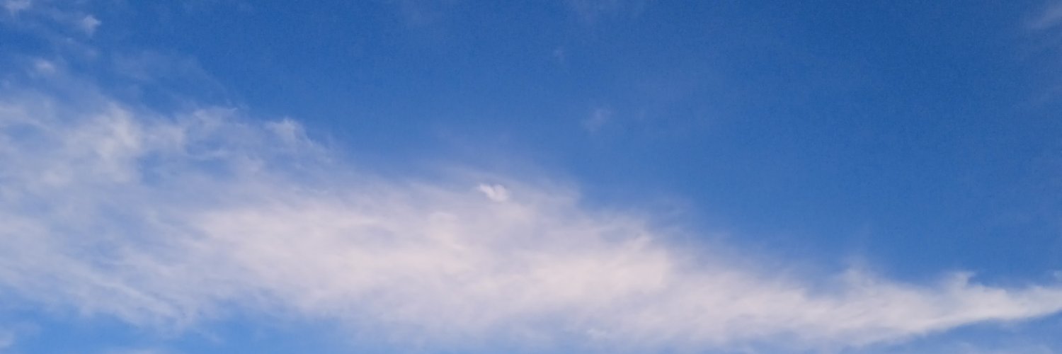 Joey's banner