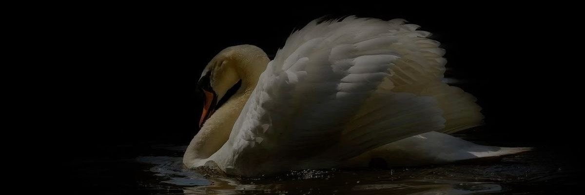 ✦ سـولــيـر | ˢᵒˡᵃⁱʳ's banner
