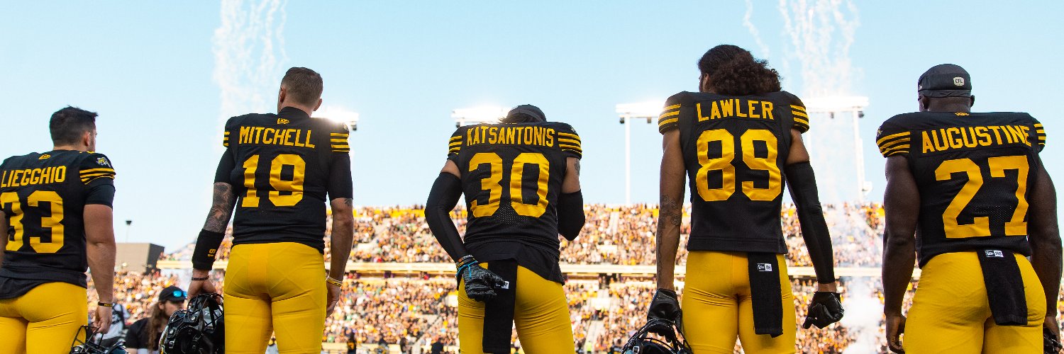 Hamilton Tiger-Cats's banner