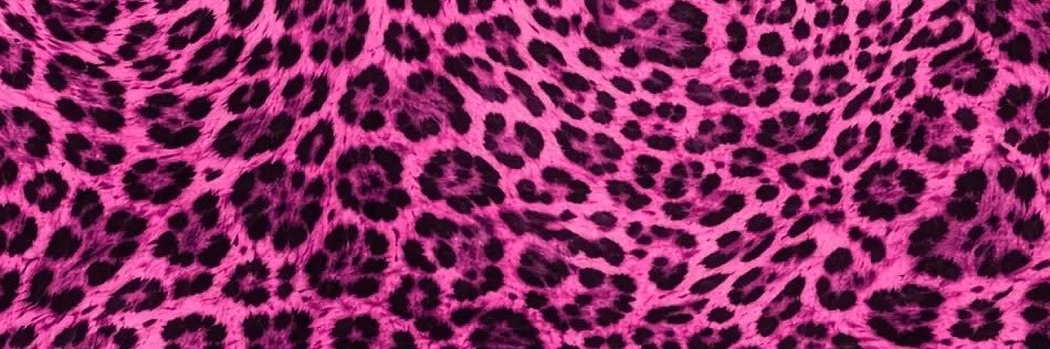 MissyAreola 🍪🌷's banner