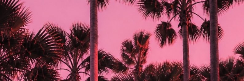 bella 🤍's banner