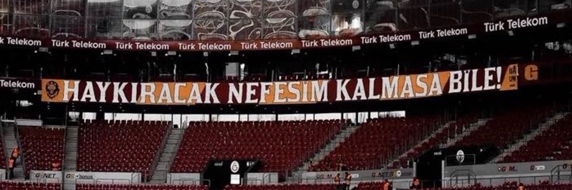 LeroySane's banner