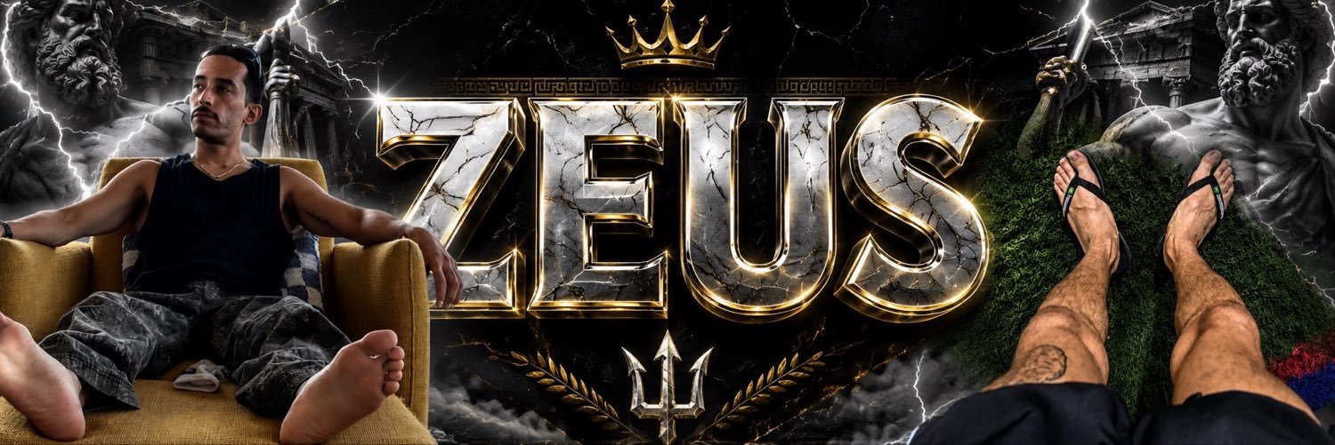 Z E U S's banner