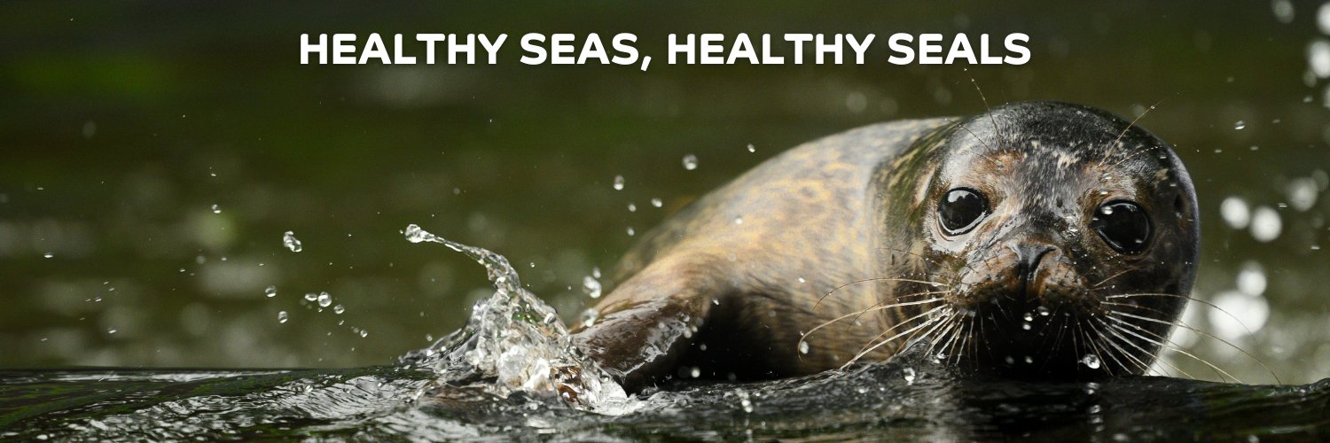 Seal Rescue Ireland's banner