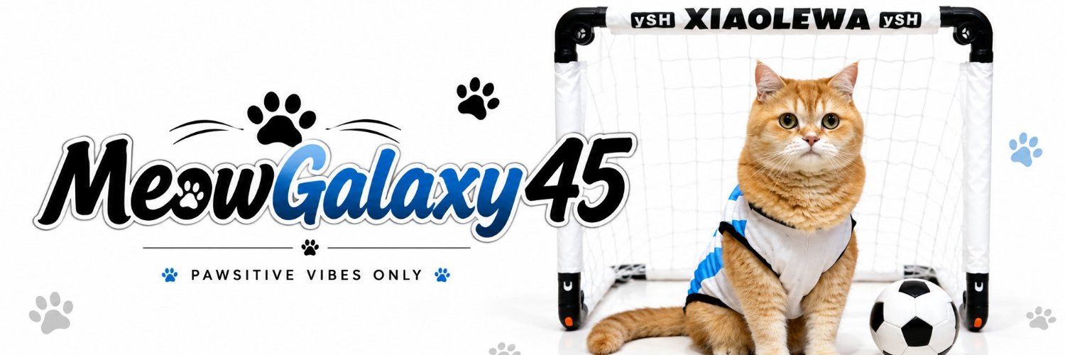 MeowGalaxy's banner