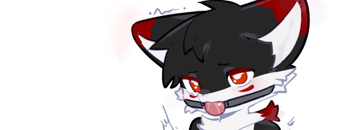 轩仔w's banner