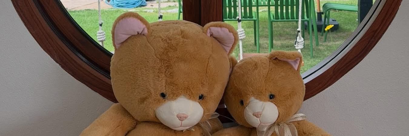 Nn_nan's banner