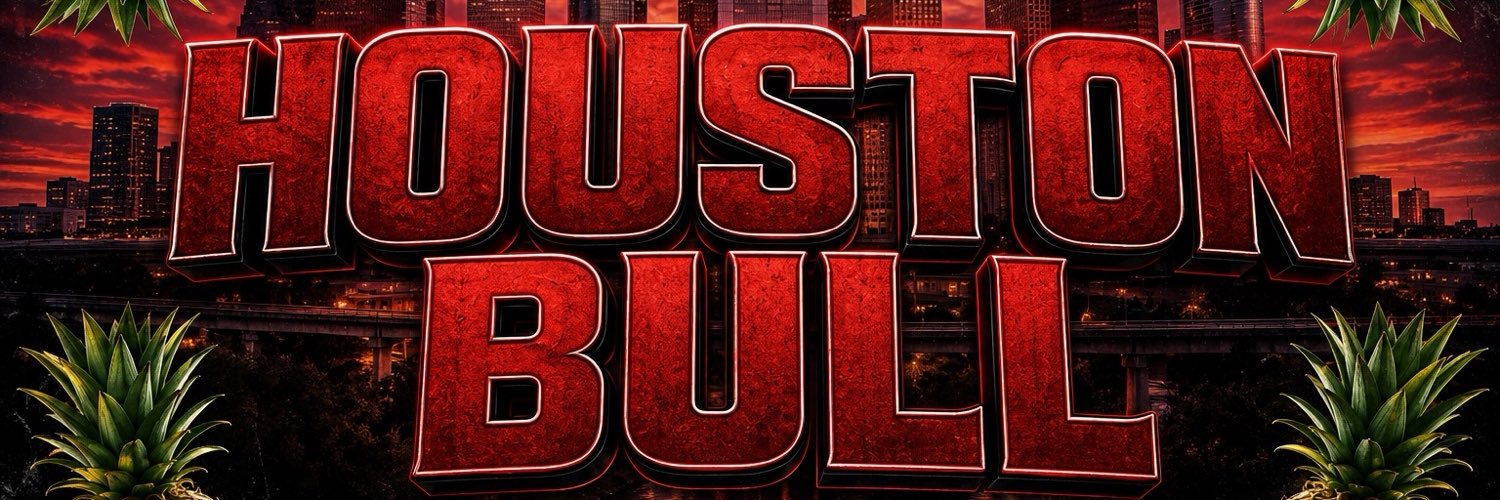 Houston Bull's banner