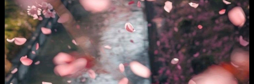 fitrinage37's banner