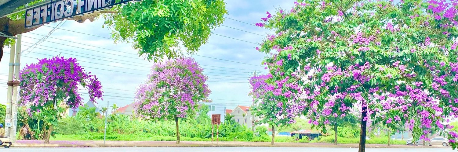 Anh Da Vàng's banner