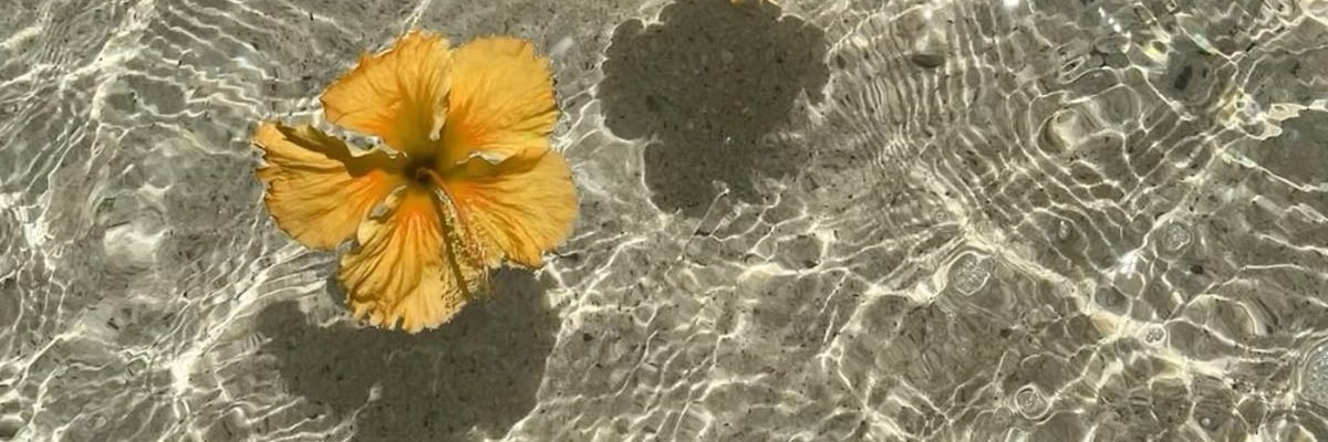 Isa's banner
