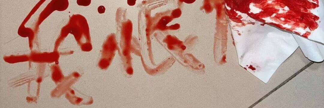 现代文娱搬运系统's banner