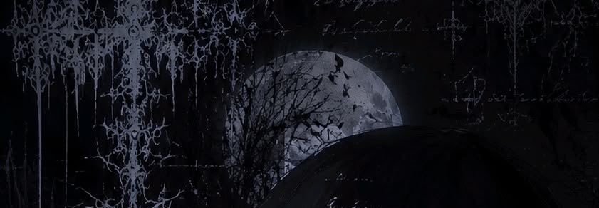bella's banner