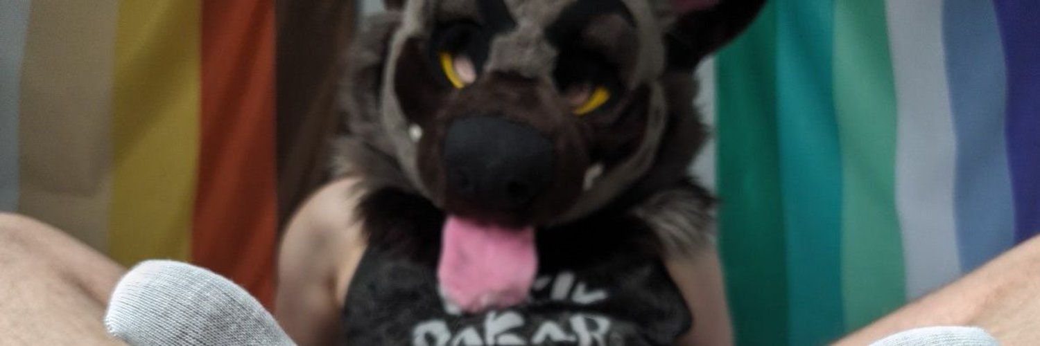 sock dog 🔞🧦's banner