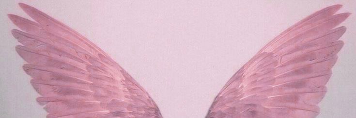 daisy 🌟's banner