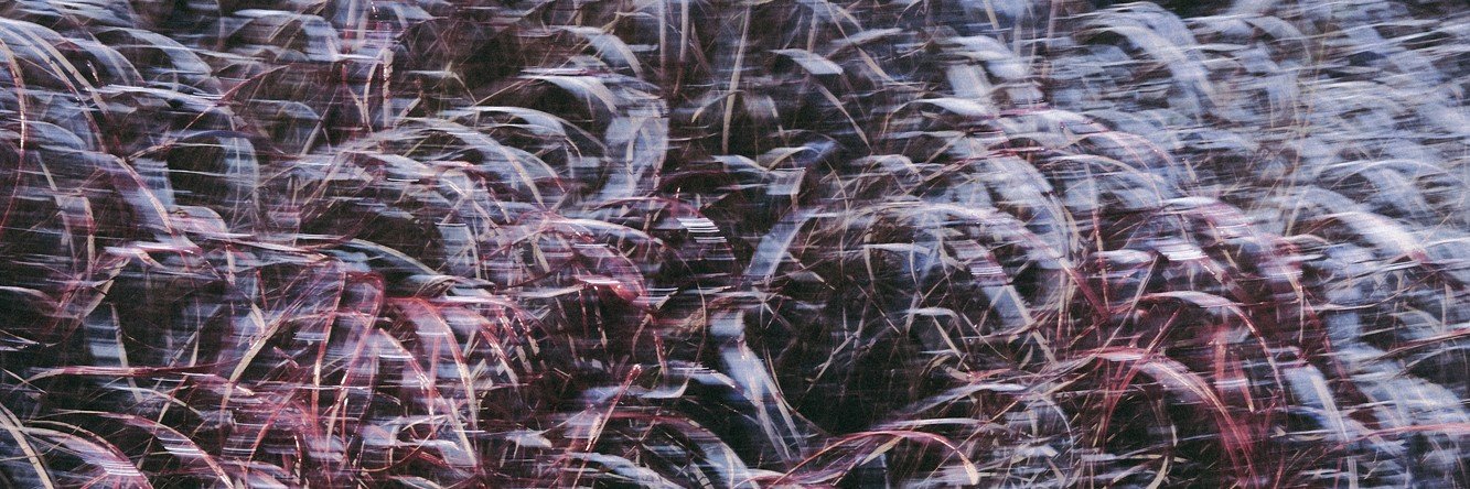 𝓲𝔂𝓮𝓵𝓵𝓵 𐔌՞ ܸ.ˬ.ܸ՞𐦯's banner