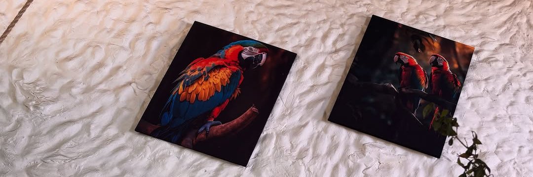 Vitória HotWife's banner