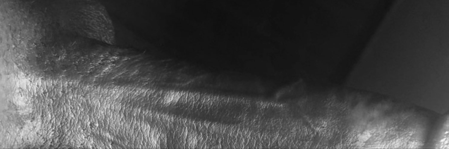 MidnightKane's banner