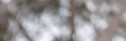 Toby tboy 🏳️‍⚧️'s banner