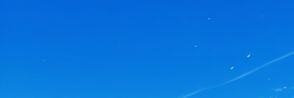 Veylunaanime's banner
