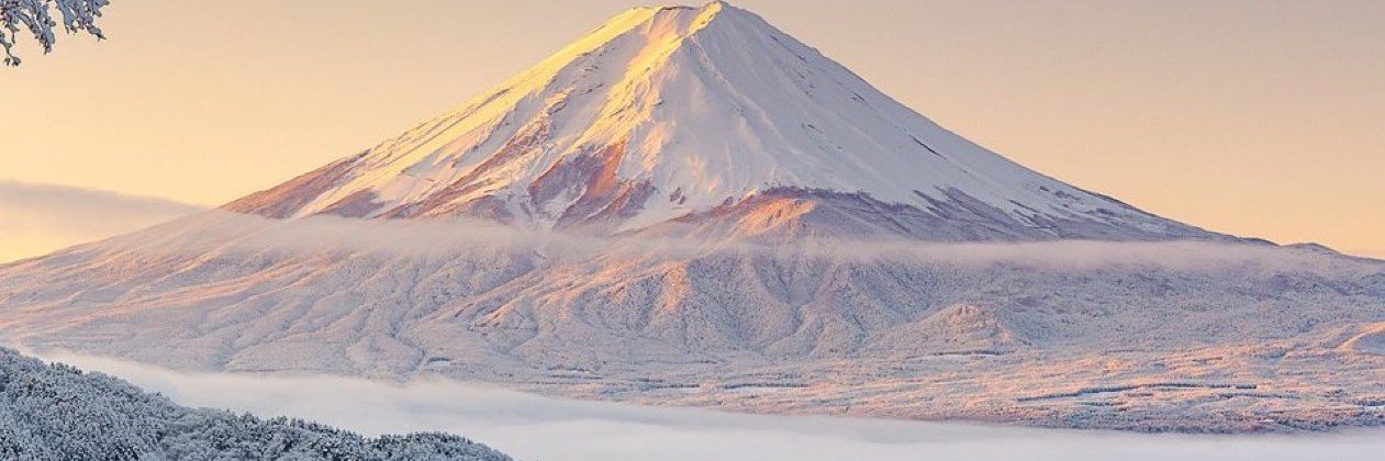 Snow Life's banner