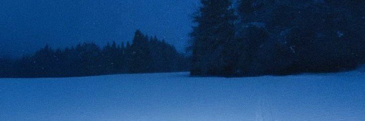 𝘉𝘳𝘢𝘥𝘰𝘰𝘮𝘧 ᵎᵎ 📡's banner
