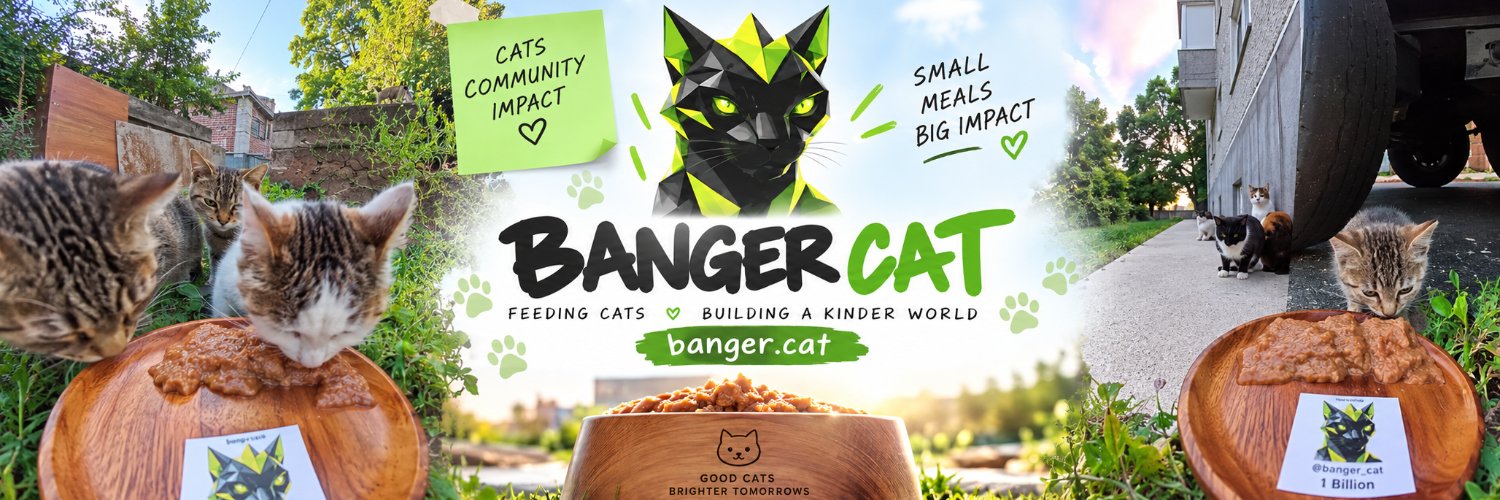 Banger Cat's banner
