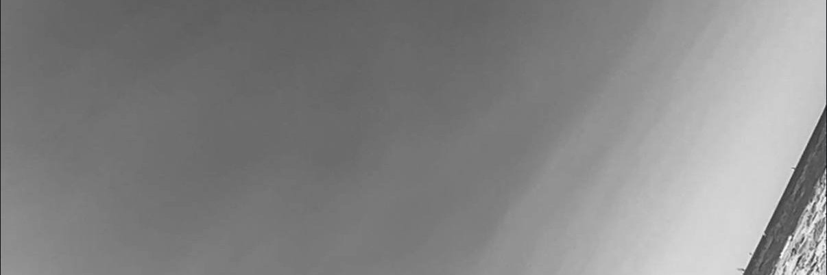 Alyciaoff's banner