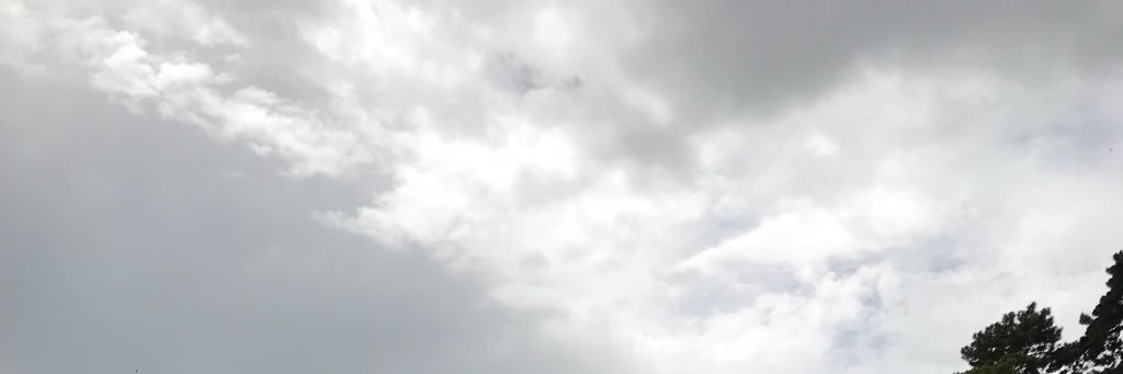 verity coyle's banner