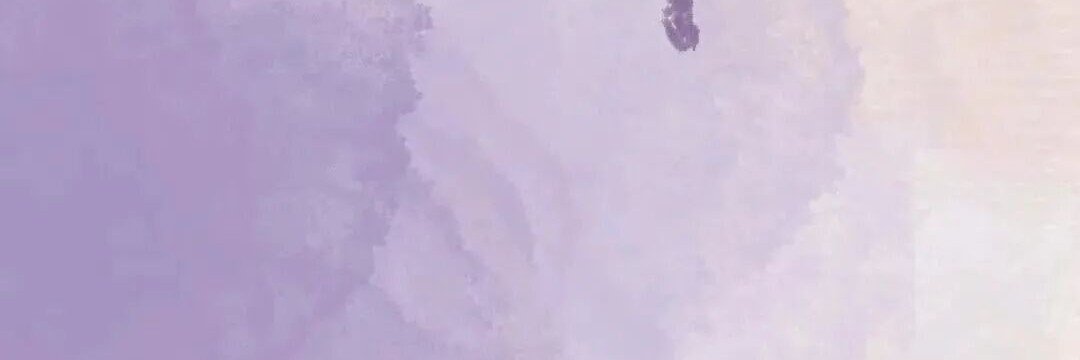 Bear.小熊's banner