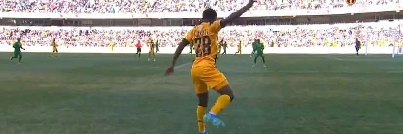 Ndlovu's banner