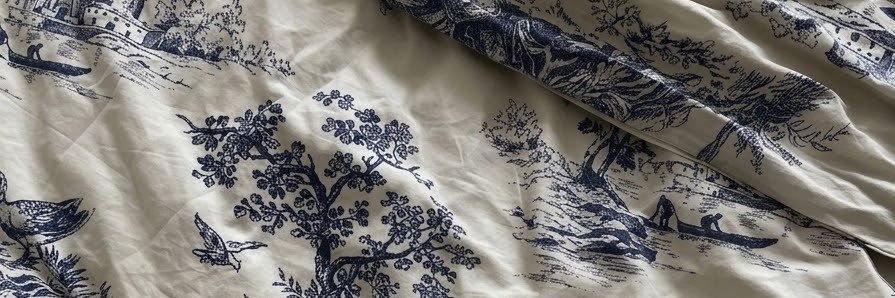 ᥫ᭡ˊ˗'s banner