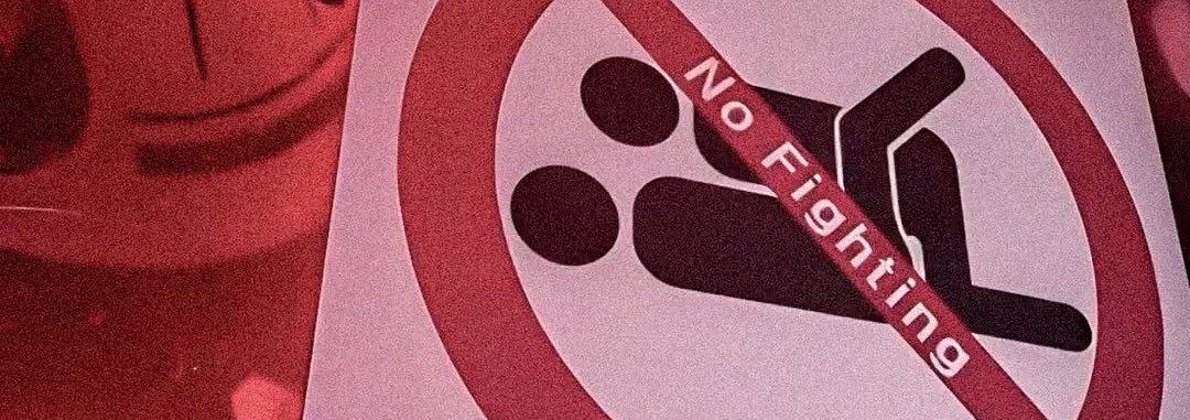 🍉's banner