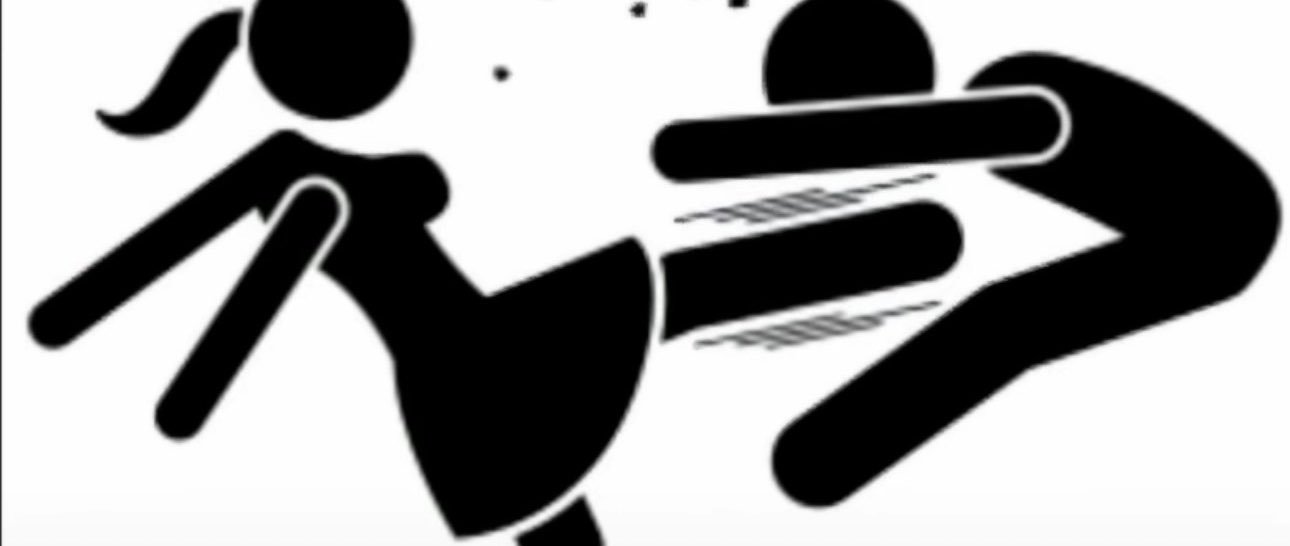 Princess Leylani's banner