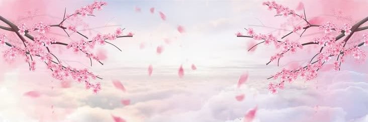 emmie's banner