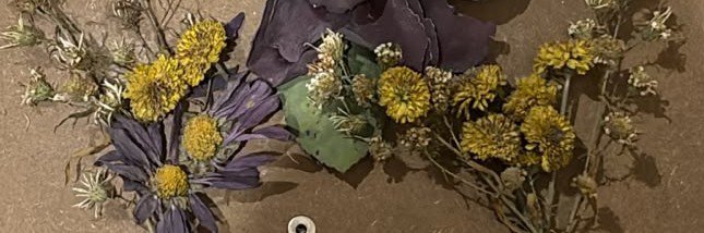 Diandra's banner