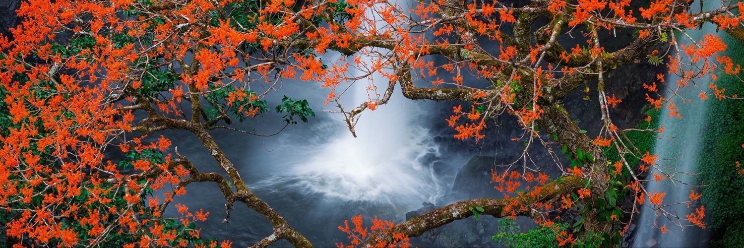 Kiều Oanh's banner