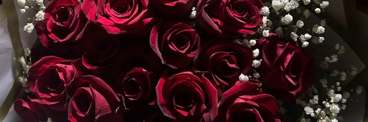 Leyla's banner