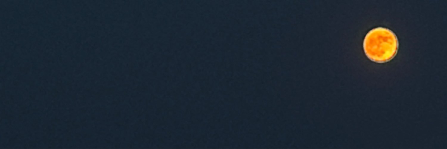 Punimo's banner
